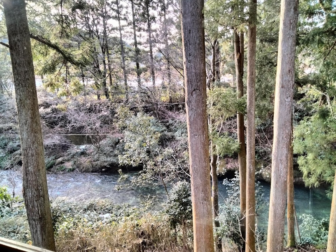 1月せせらぎの森景色