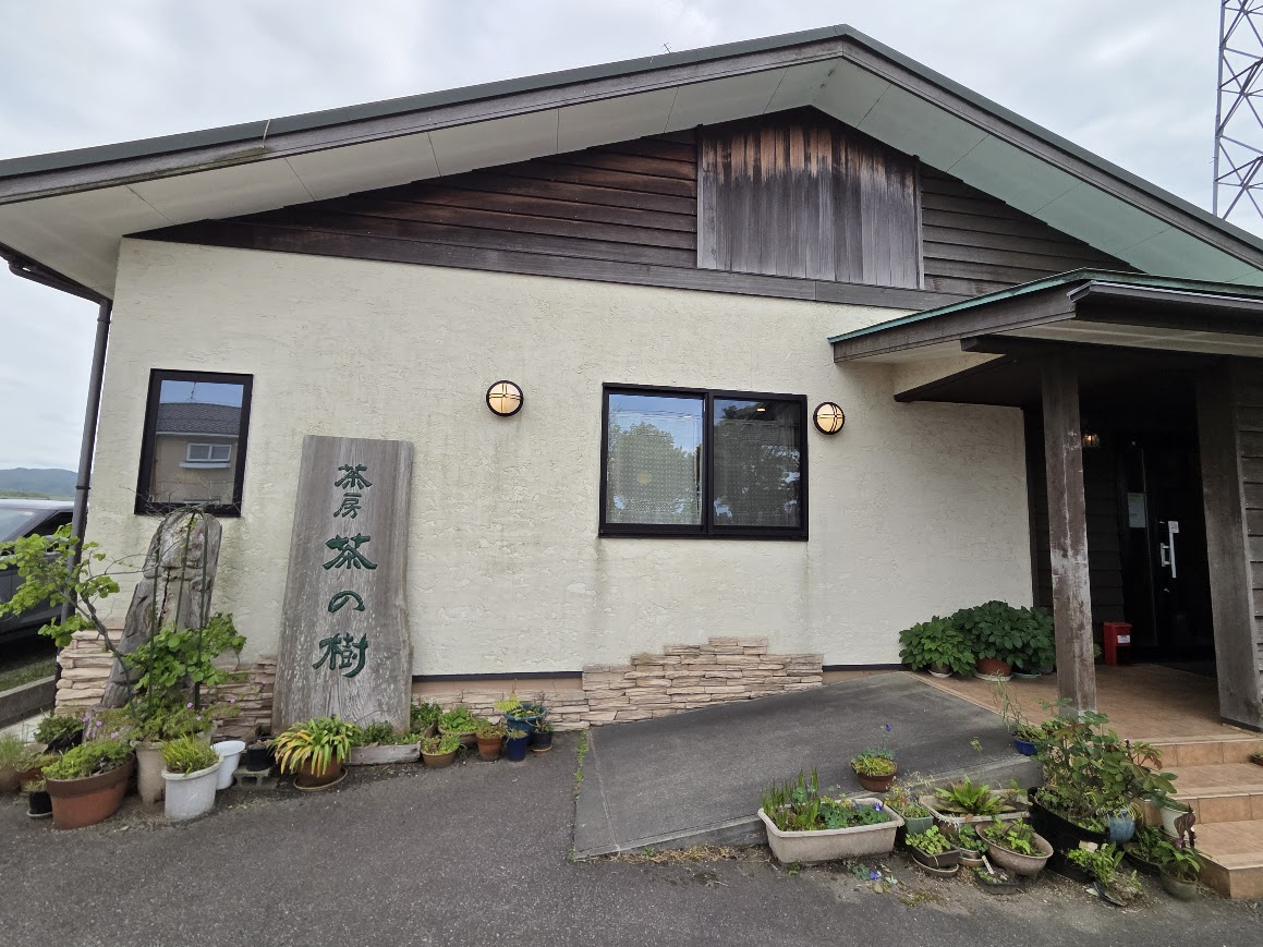 ５月茶房茶の樹
