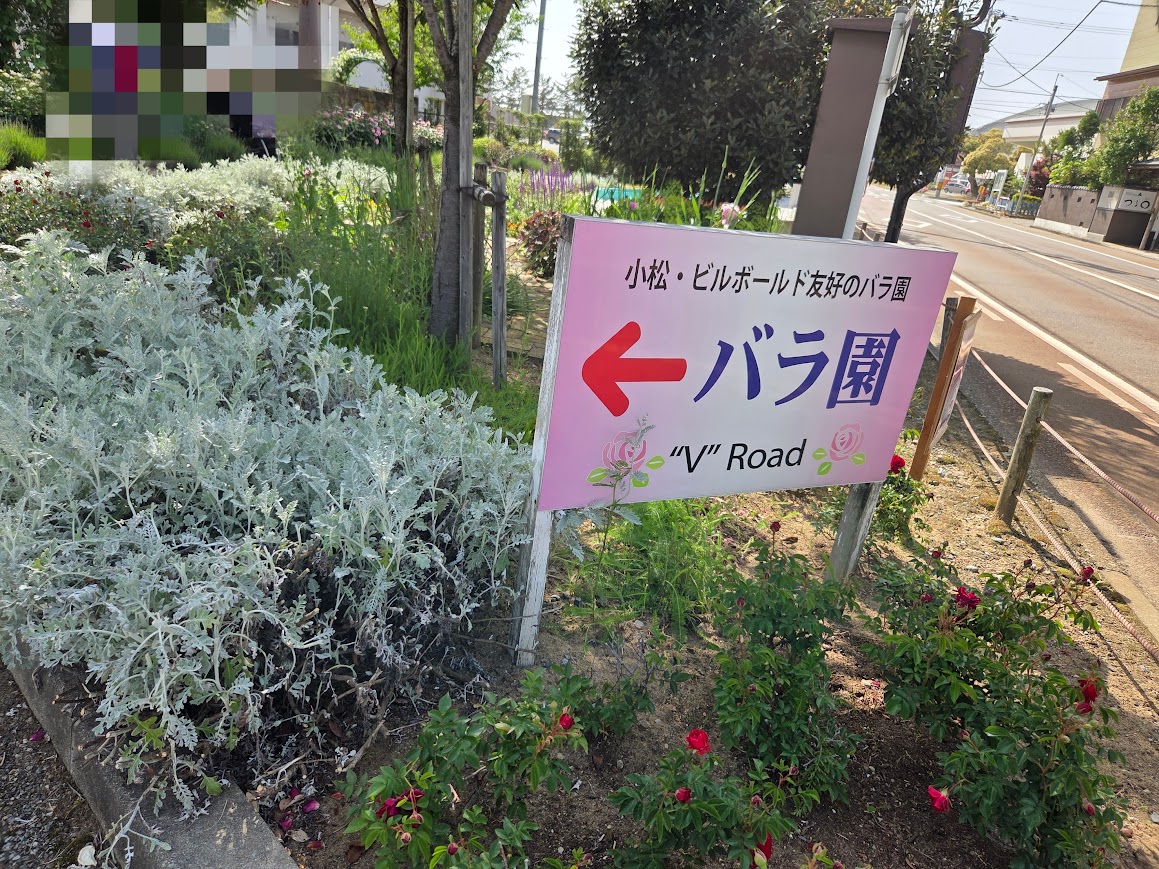 道路沿いVroad入り口