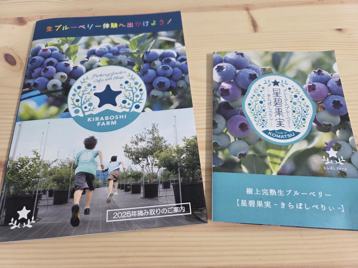 きらぼしべりぃのパンフレット