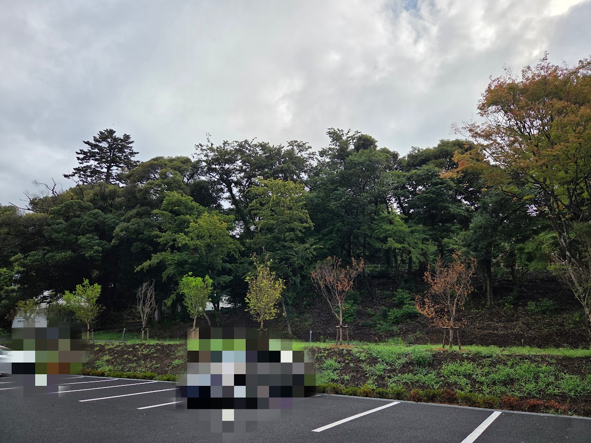 あいうえおの杜駐車場側