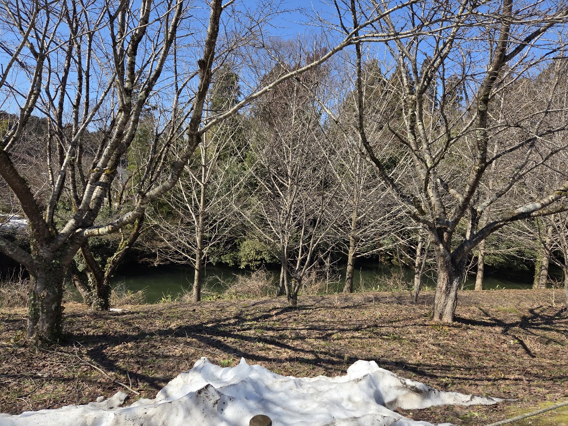 せせらぎの郷川沿い